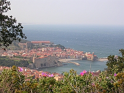 Vue de Collioure