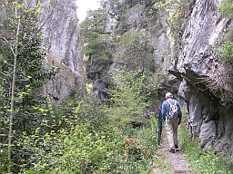 MM se courbe pour passer dans le sentier