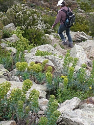 Descente Descente