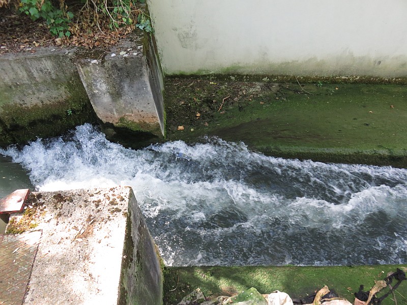 Chemin pour poissons sur le canal de la Marne Chemin pour poissons