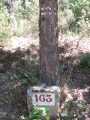 Borne 163